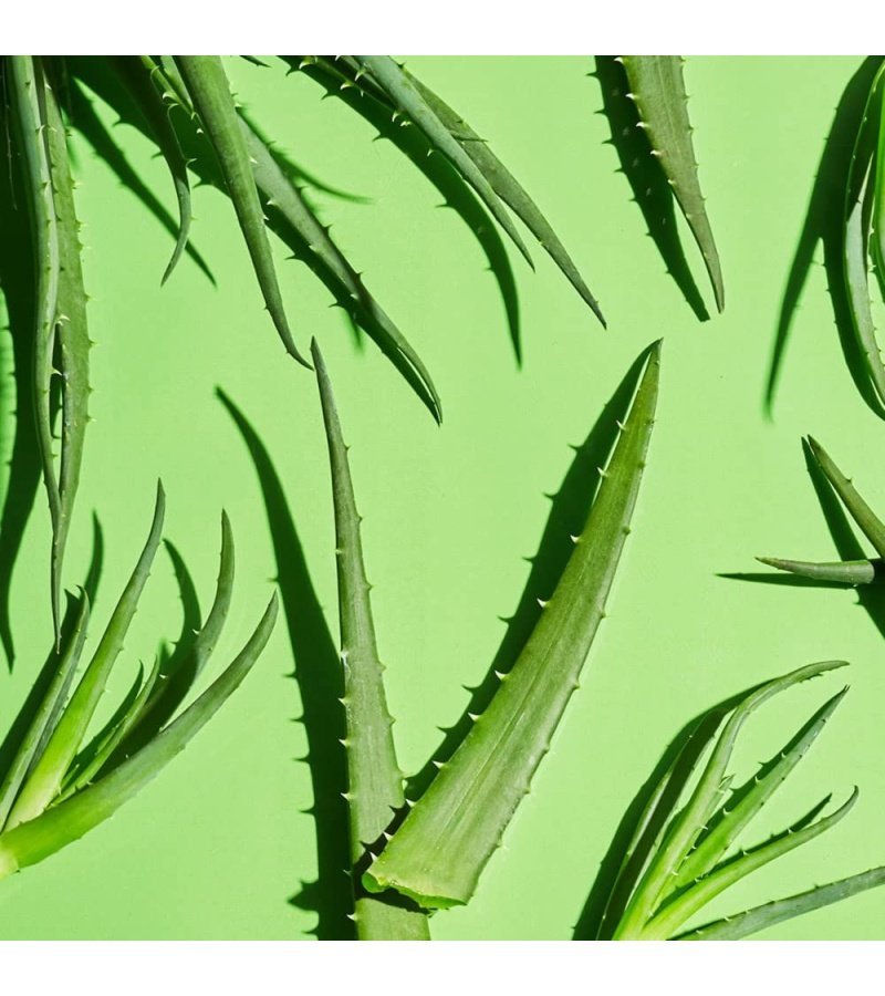 img-2d1391c78037578b7bef91db904ee1af