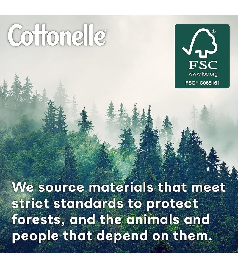 img-84493a69bab0c0813d5bf36997ede652