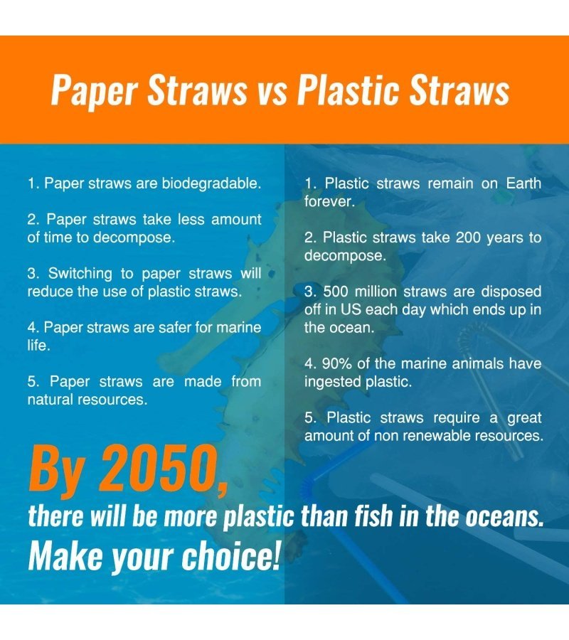 Weemium 200 Biodegradable Paper Straws ?C Durable & Eco-Friendly in 10 Color Stripes ?C Rainbow Drinking Straws & Party Decoration Supplies - Image 6